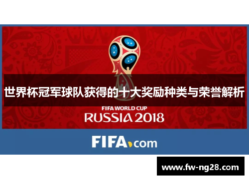 世界杯冠军球队获得的十大奖励种类与荣誉解析