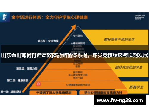 山东泰山如何打造高效体能储备体系提升球员竞技状态与长期发展