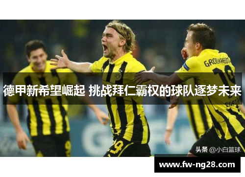 德甲新希望崛起 挑战拜仁霸权的球队逐梦未来