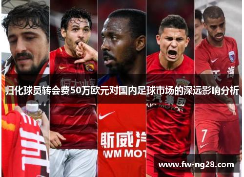 归化球员转会费50万欧元对国内足球市场的深远影响分析