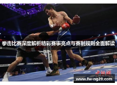拳击比赛深度解析精彩赛事亮点与赛制规则全面解读