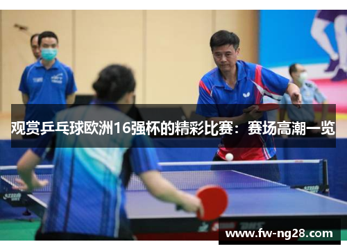 观赏乒乓球欧洲16强杯的精彩比赛：赛场高潮一览