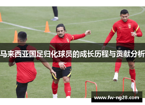 马来西亚国足归化球员的成长历程与贡献分析