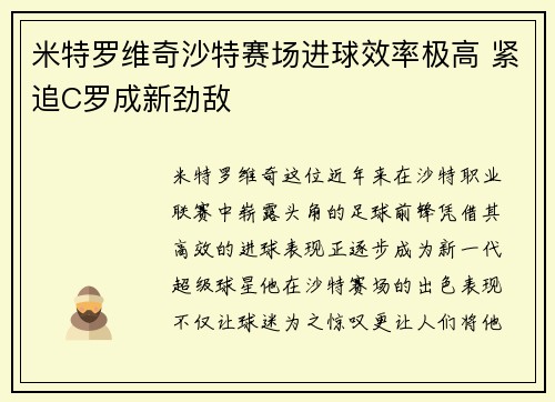 米特罗维奇沙特赛场进球效率极高 紧追C罗成新劲敌 米特罗维奇沙特赛场进球效率极高 紧追C罗成新劲敌